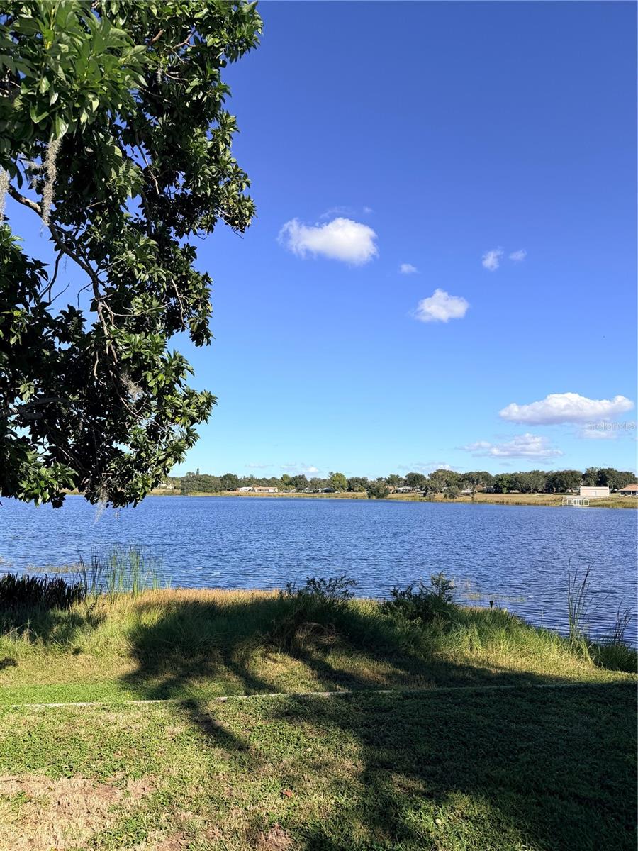 Single Family Residence in LAKE HAMILTON, FL - Daniel Dourado