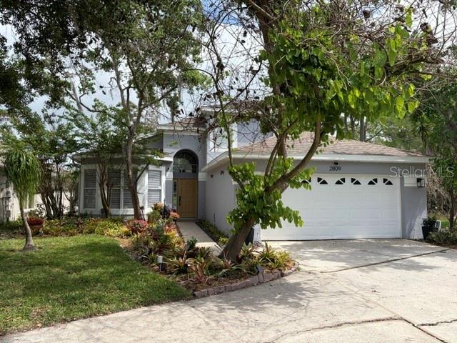 Single Family Residence in ORLANDO, FL - Daniel Dourado