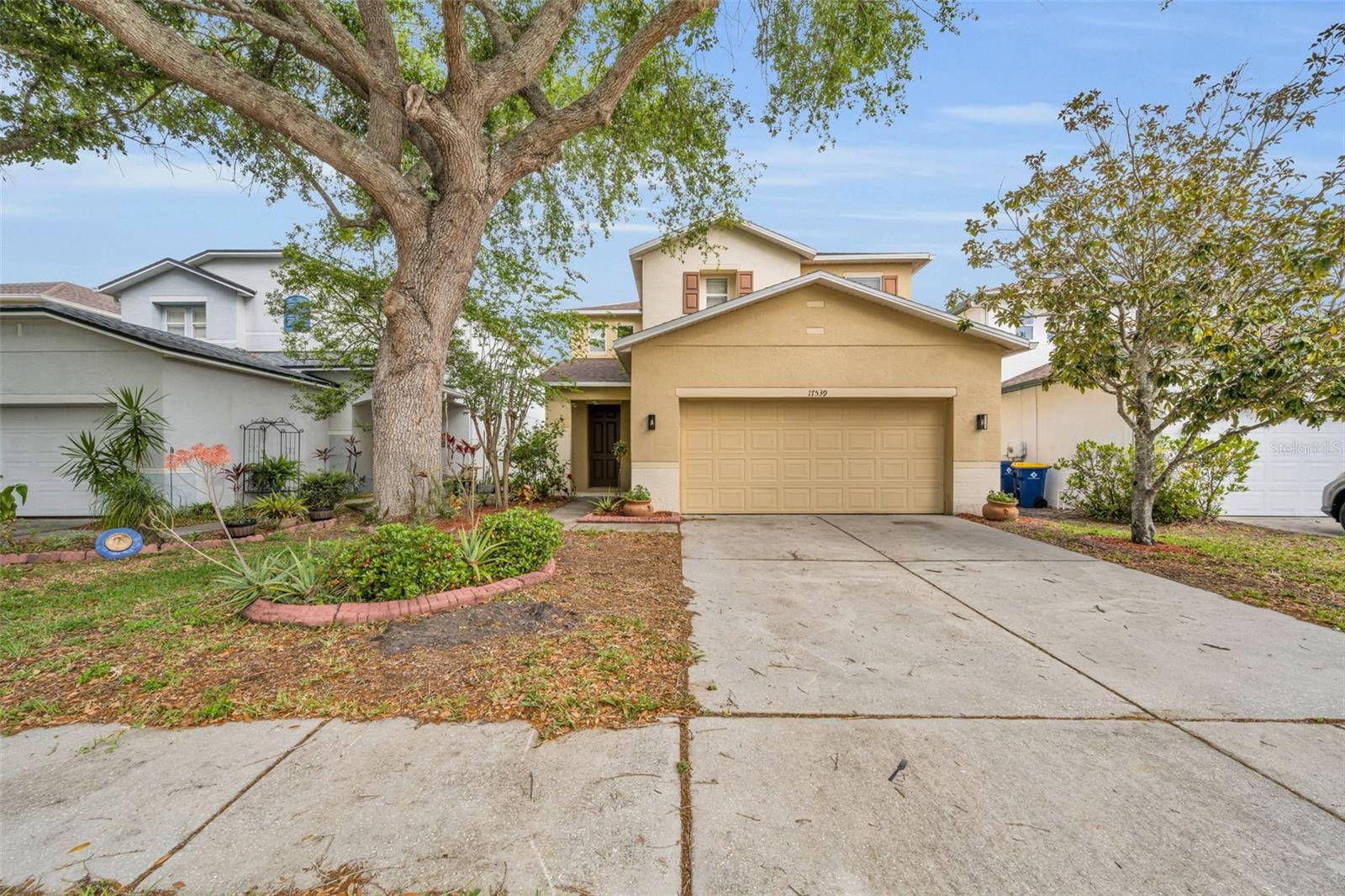 Single Family Residence em LAND O LAKES, FL - Daniel Dourado