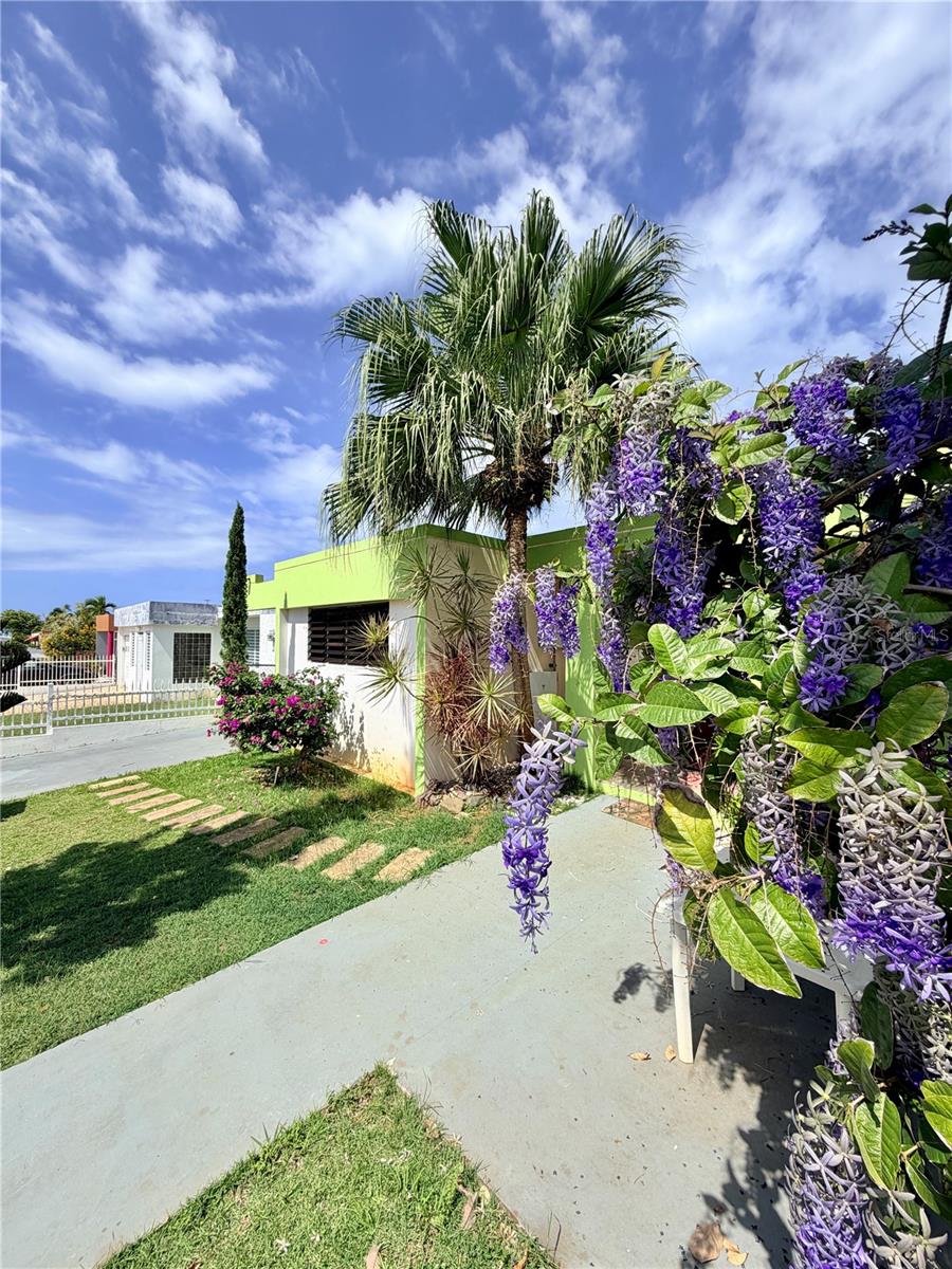 Single Family Residence in AGUADILLA, PR - Daniel Dourado