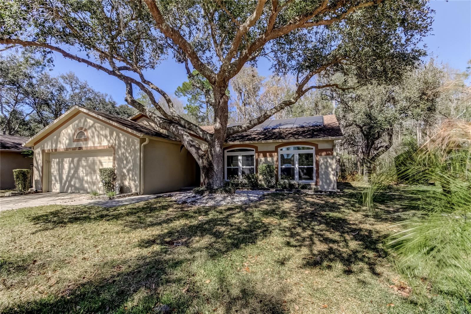 Single Family Residence in OLDSMAR, FL - Daniel Dourado