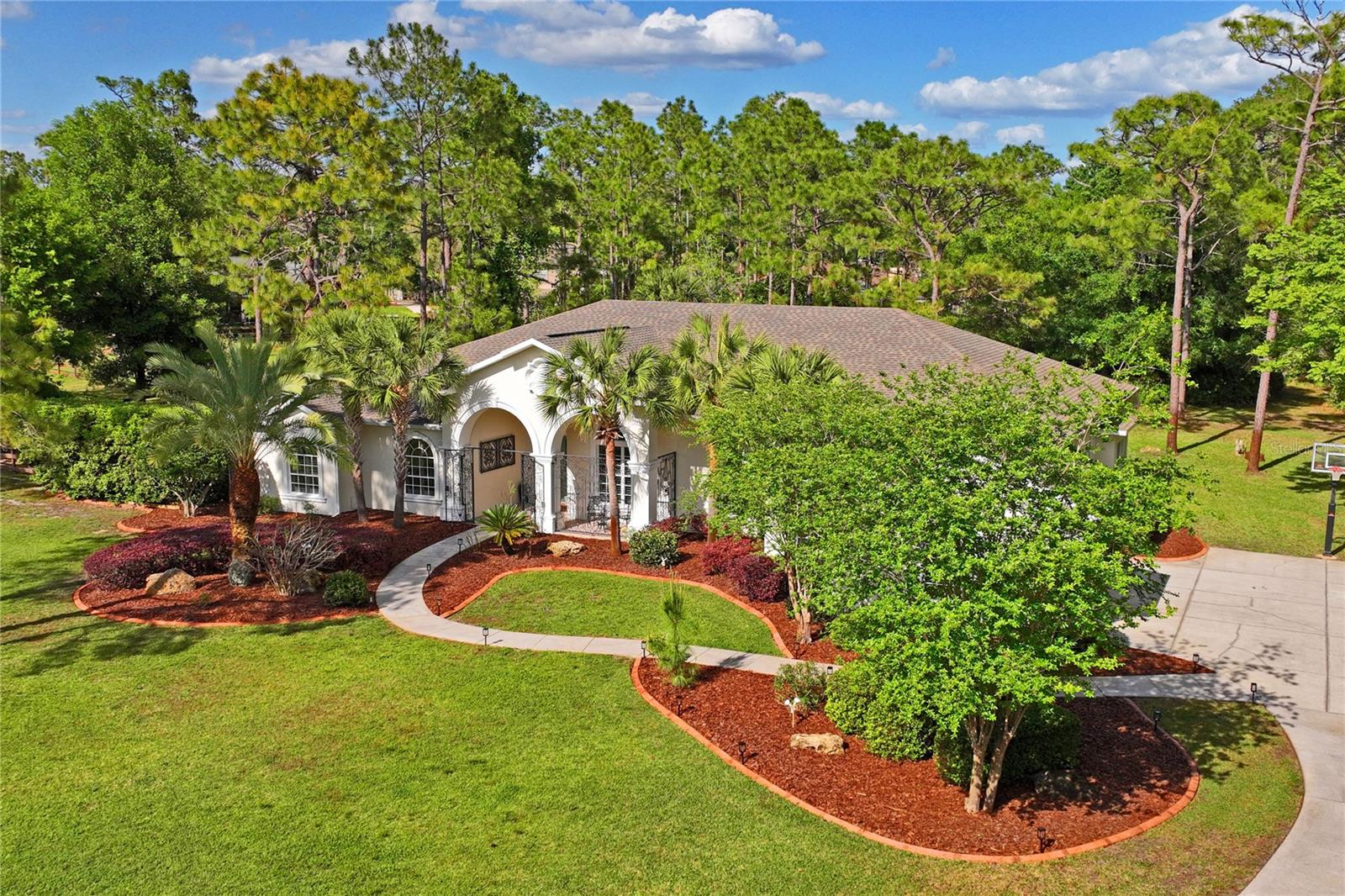 Single Family Residence in NEW PORT RICHEY, FL - Daniel Dourado