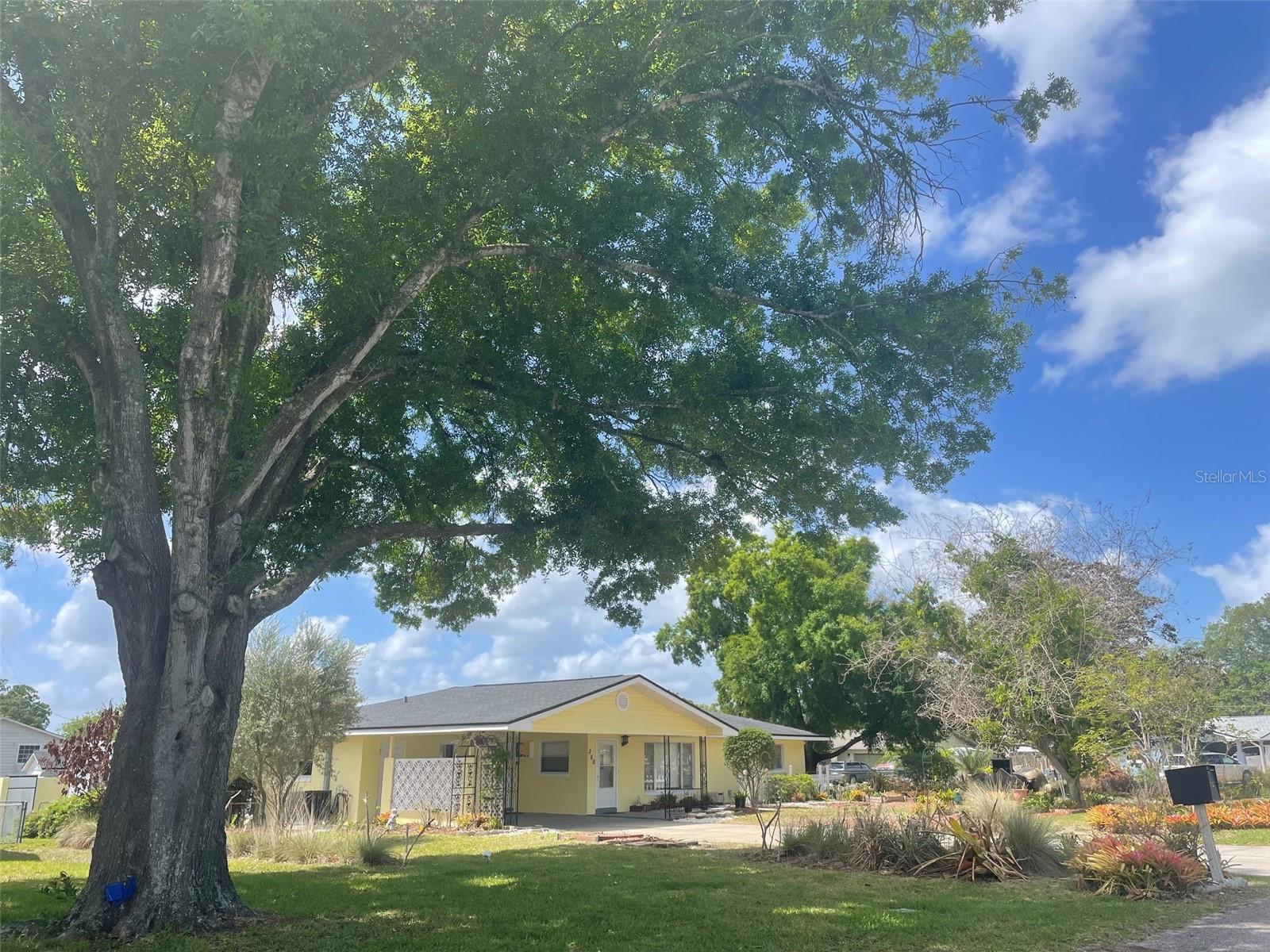 Single Family Residence in LAKE ALFRED, FL - Daniel Dourado