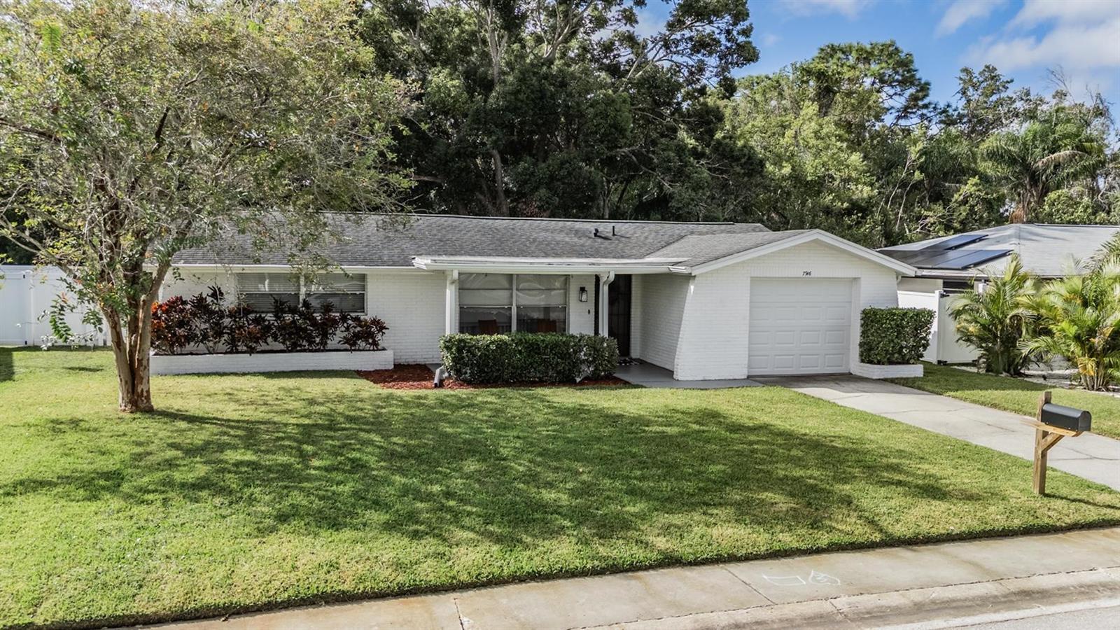 Single Family Residence em NEW PORT RICHEY, FL - Daniel Dourado