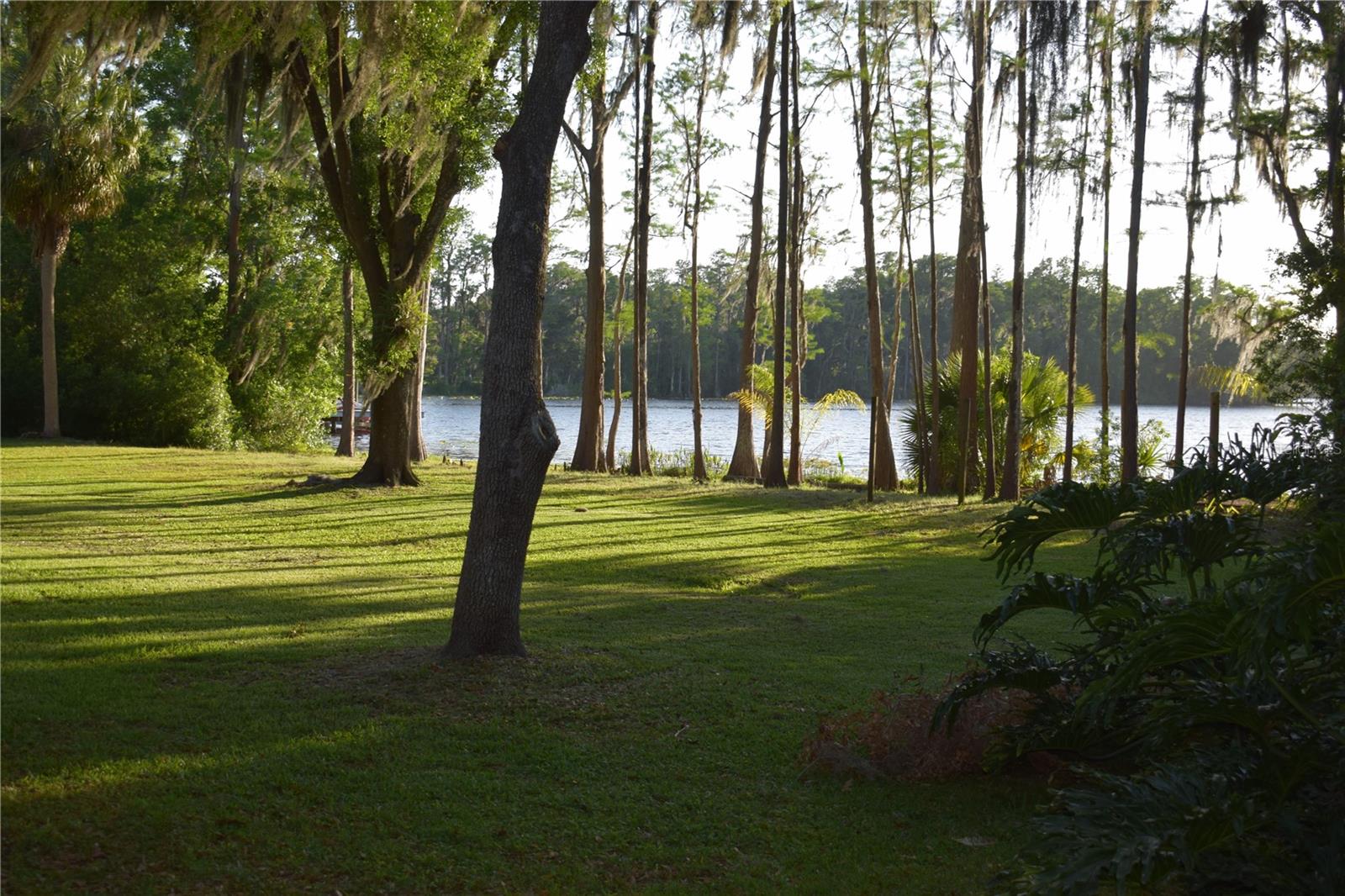 Single Family Residence in ODESSA, FL - Daniel Dourado