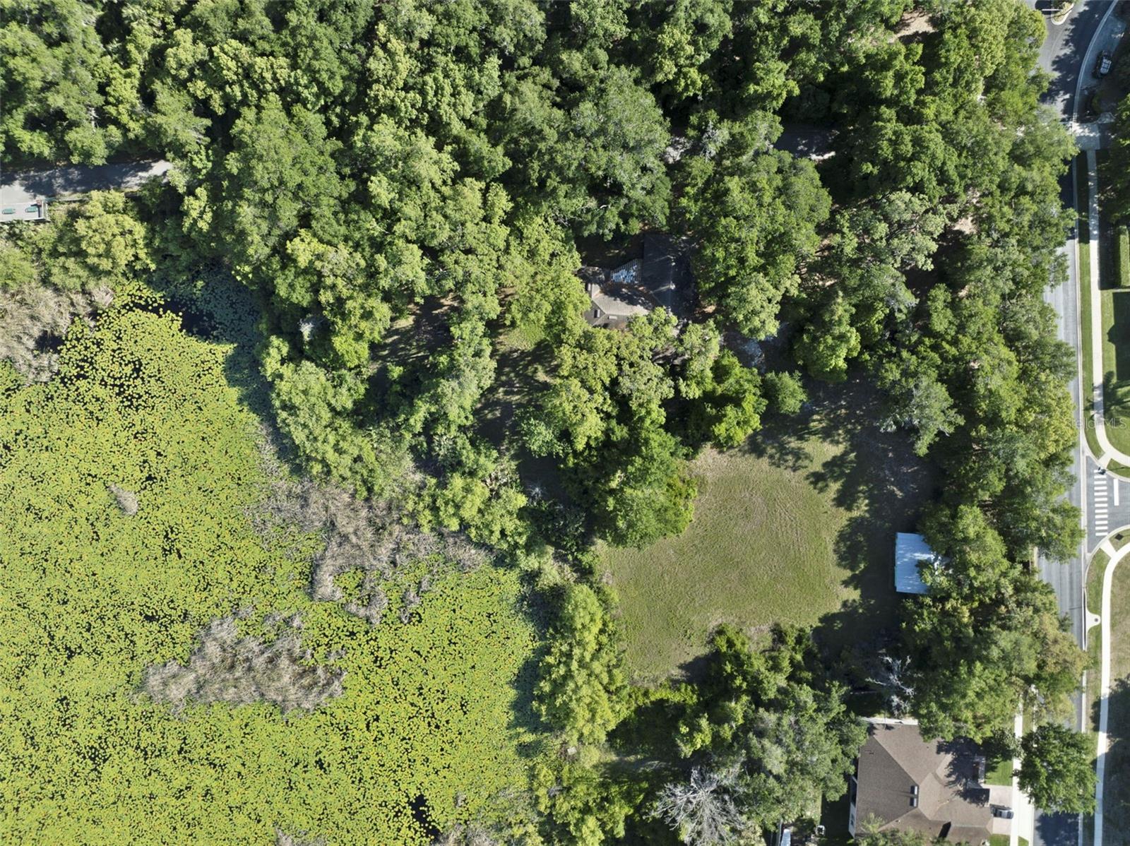 Single Family Residence in SANFORD, FL - Daniel Dourado
