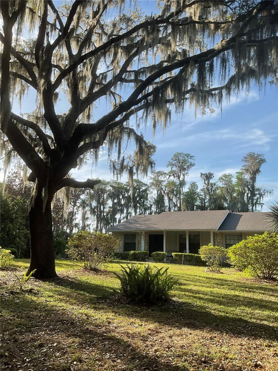 Single Family Residence in WINTER GARDEN, FL - Daniel Dourado