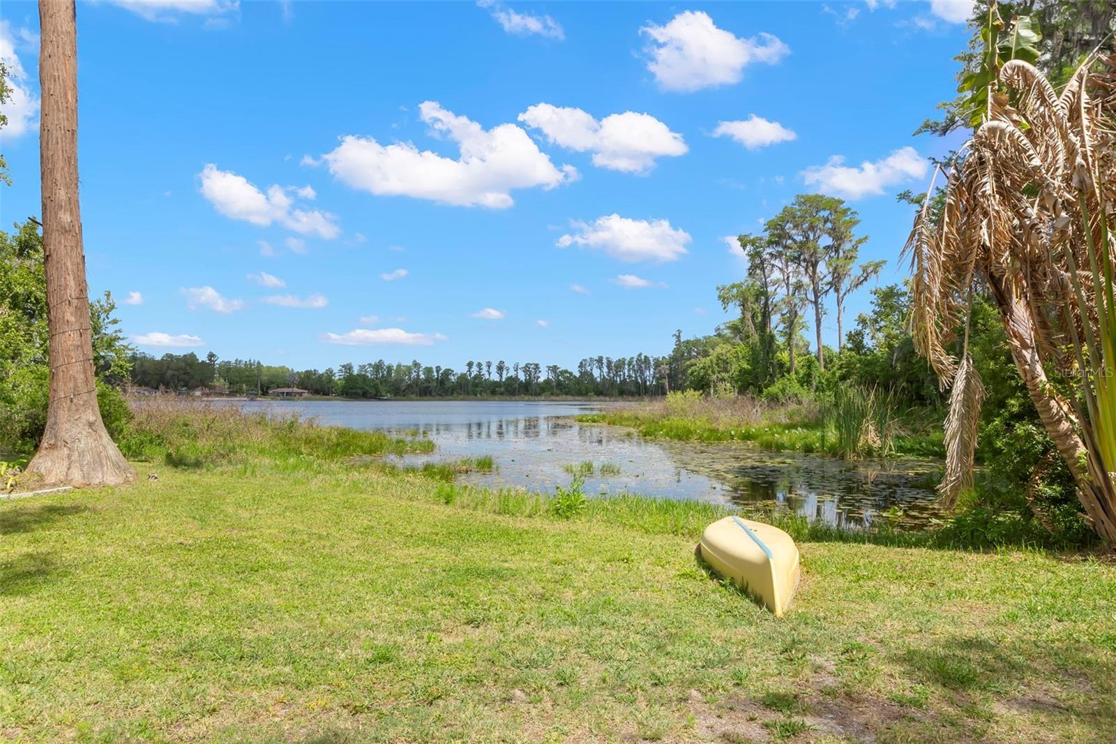 Single Family Residence in LUTZ, FL - Daniel Dourado