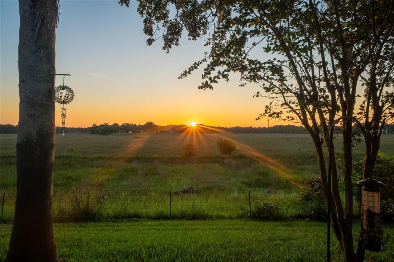 Single Family Residence em SPRING HILL, FL - Daniel Dourado