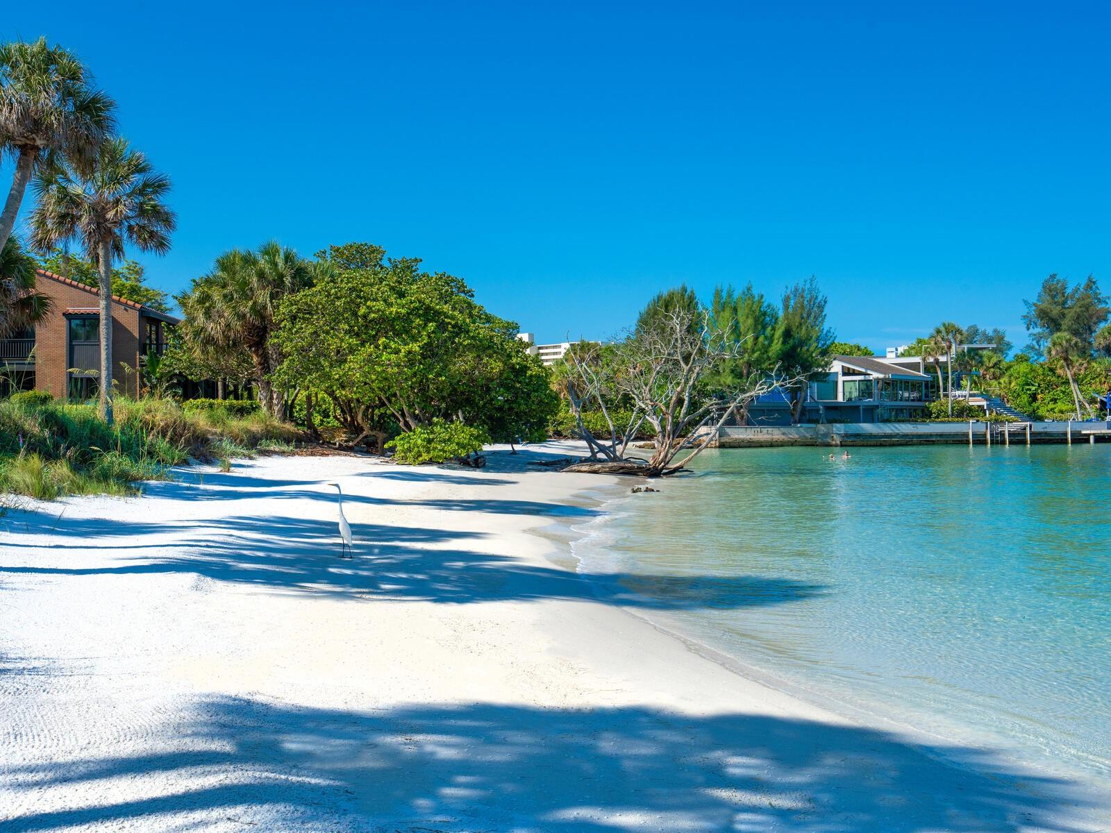 Condominium in SARASOTA, FL - Daniel Dourado