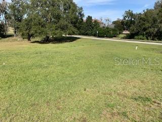  em DADE CITY, FL - Daniel Dourado