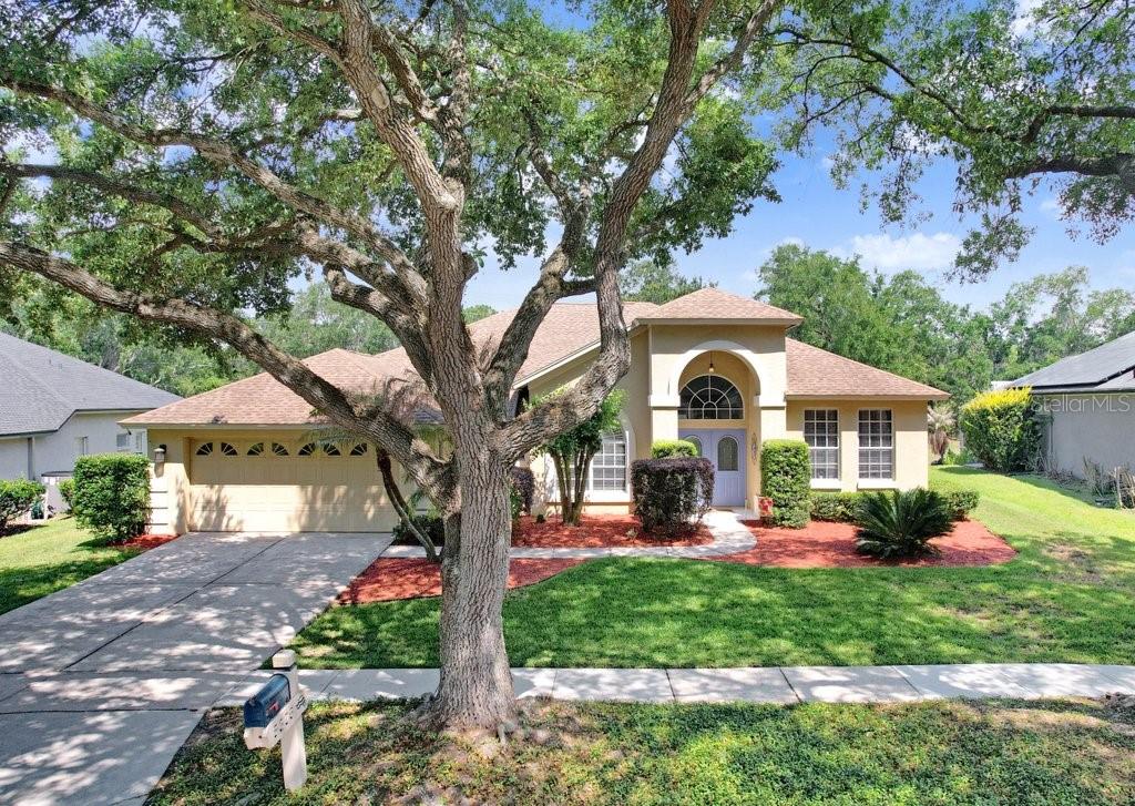 Single Family Residence in VALRICO, FL - Daniel Dourado