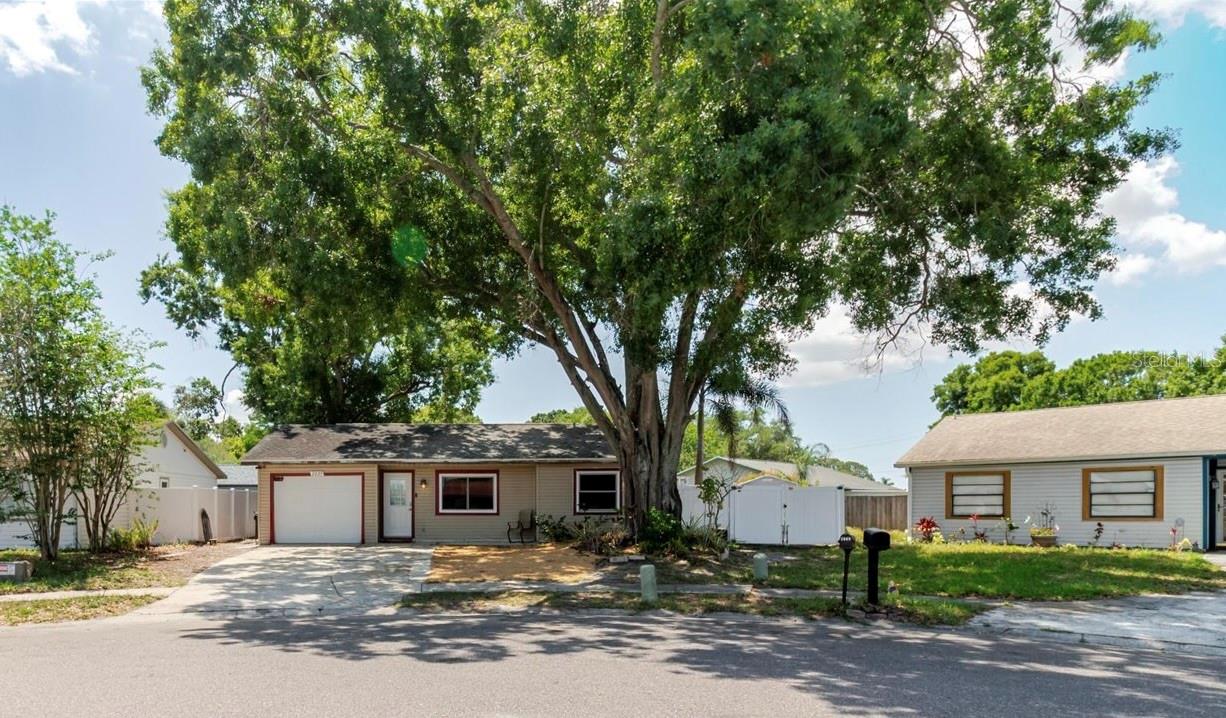 Single Family Residence in OLDSMAR, FL - Daniel Dourado
