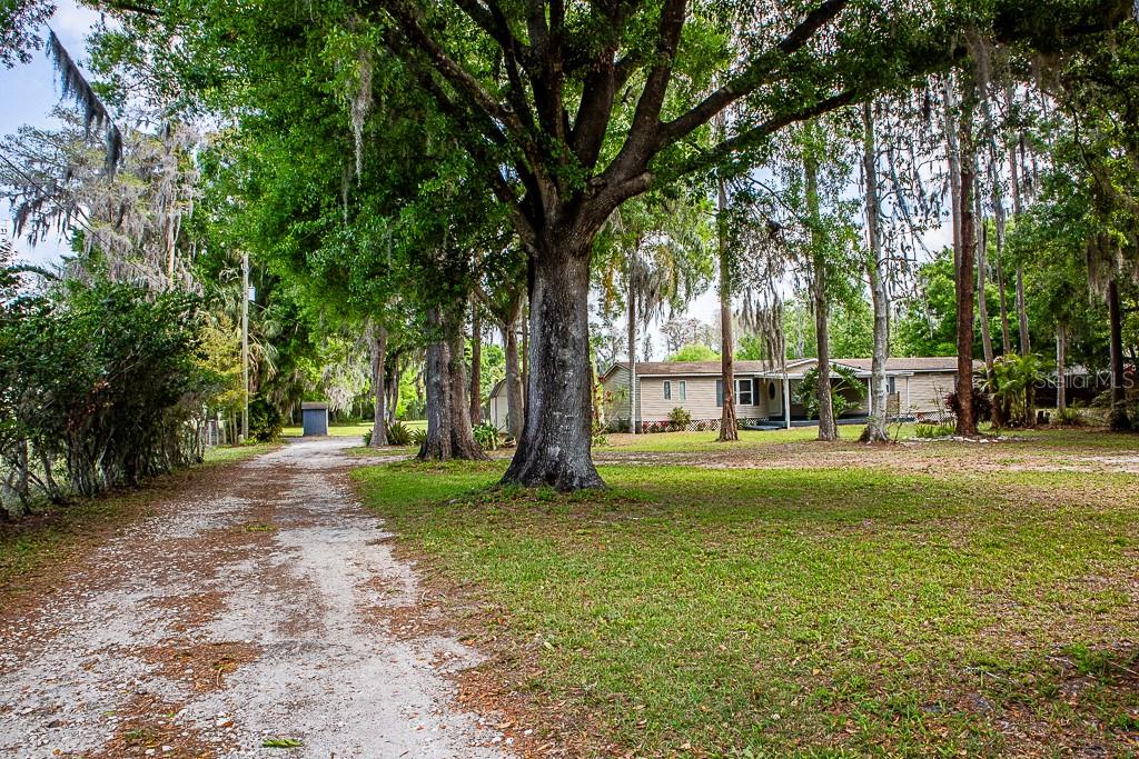 Single Family Residence in ODESSA, FL - Daniel Dourado