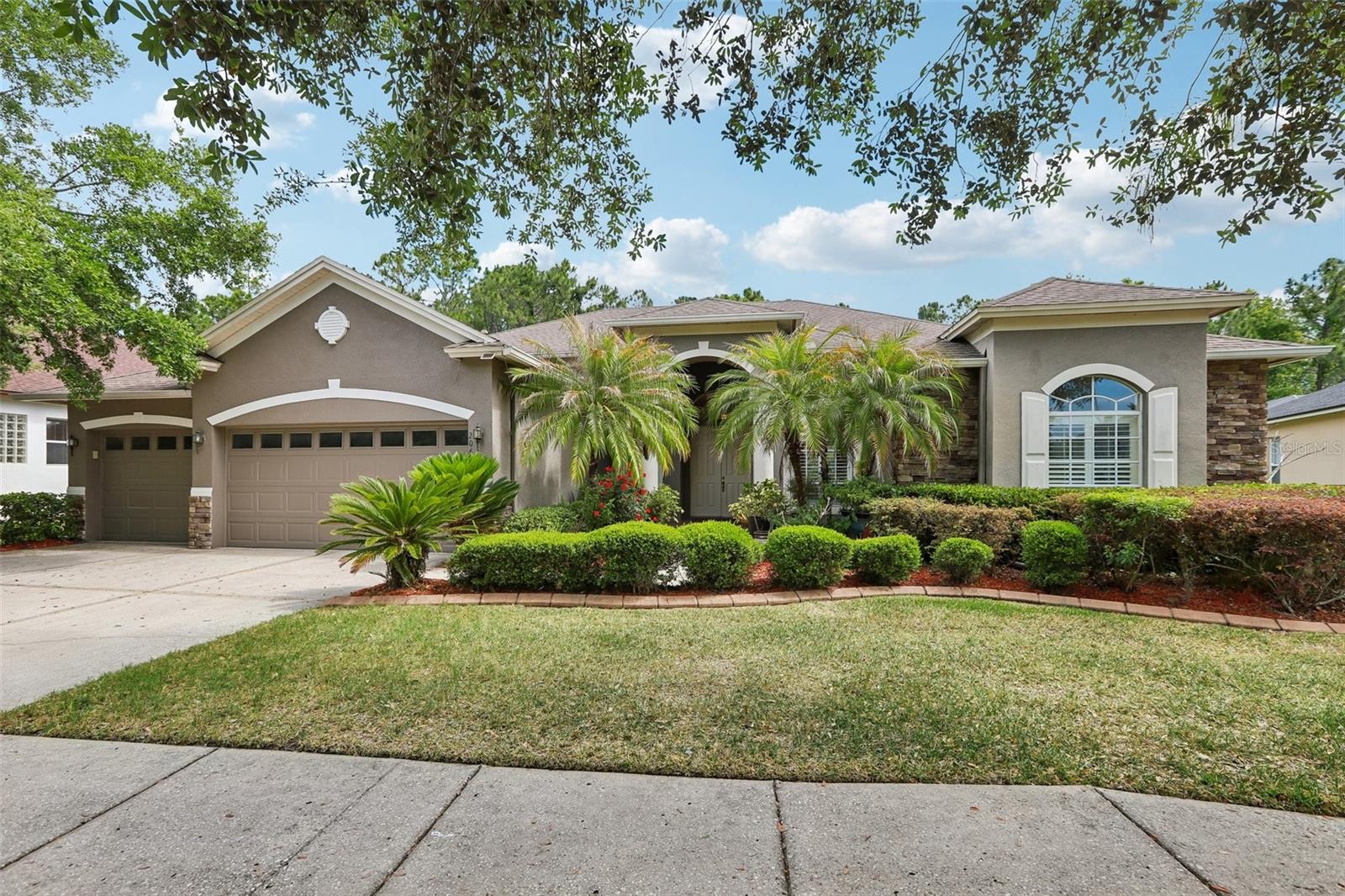 Single Family Residence in TAMPA, FL - Daniel Dourado