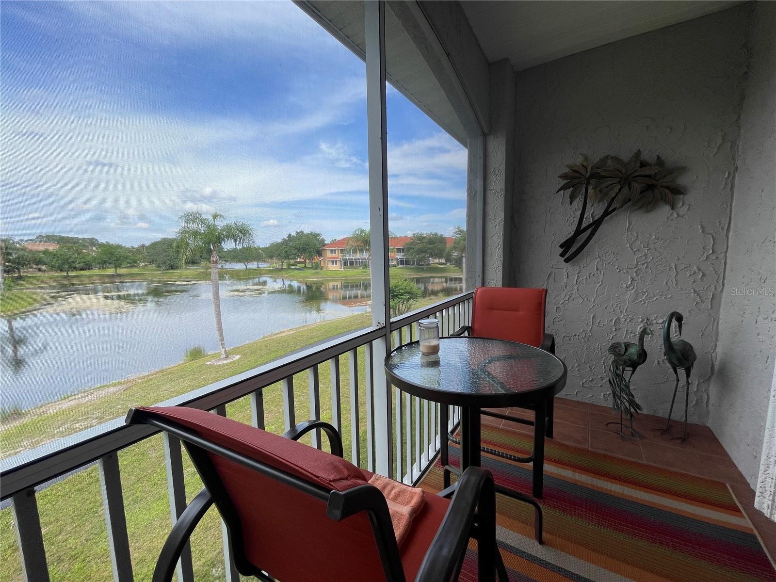 Condominium em LAND O LAKES, FL - Daniel Dourado