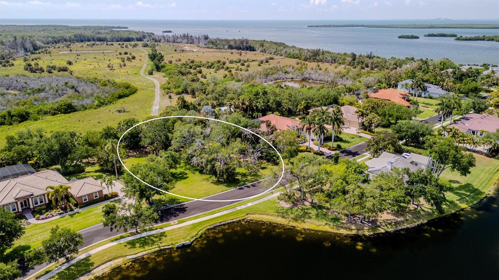  in PALMETTO, FL - Daniel Dourado