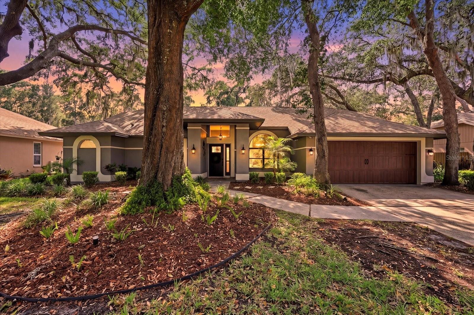 Single Family Residence em LUTZ, FL - Daniel Dourado