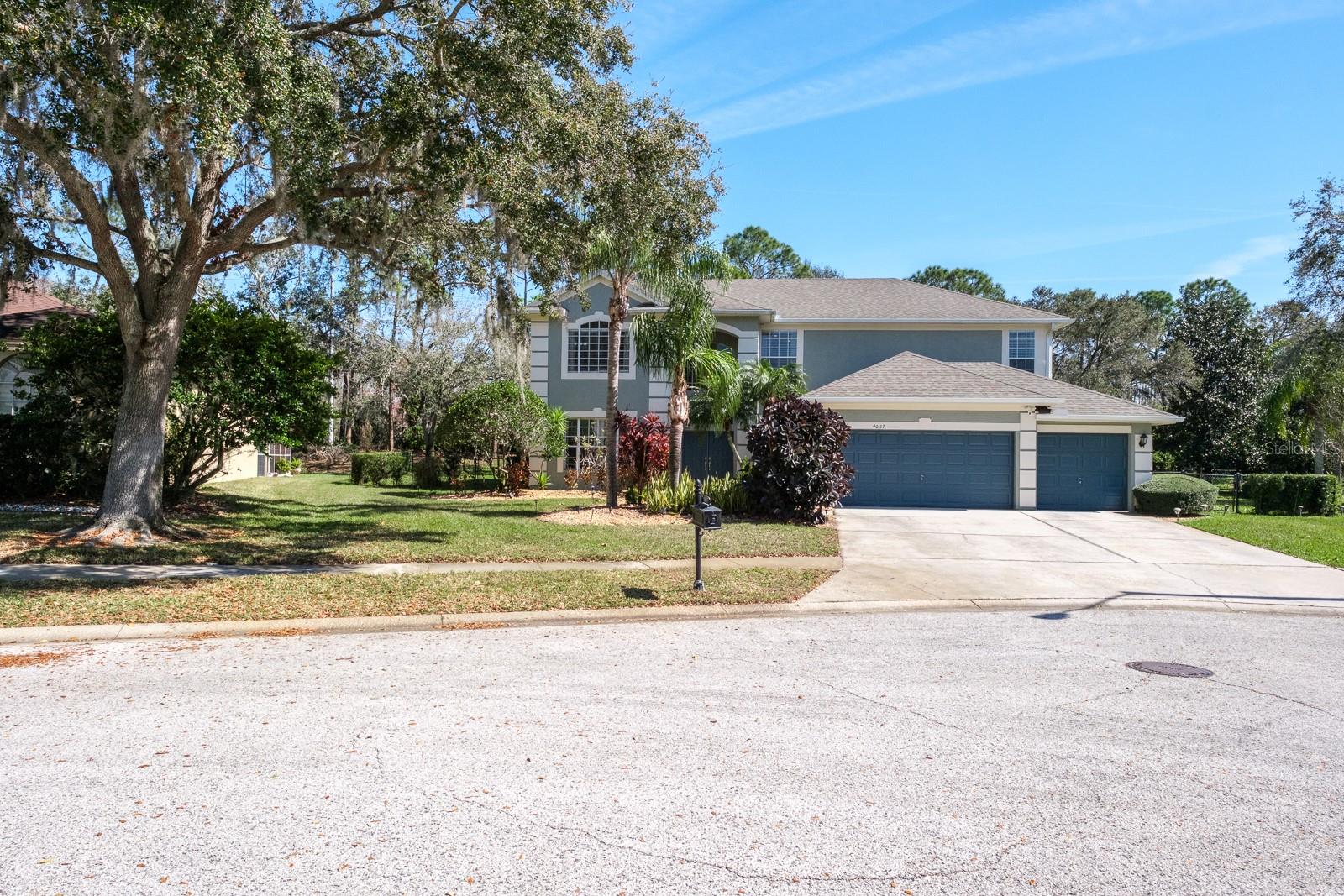 Single Family Residence in PALM HARBOR, FL - Daniel Dourado
