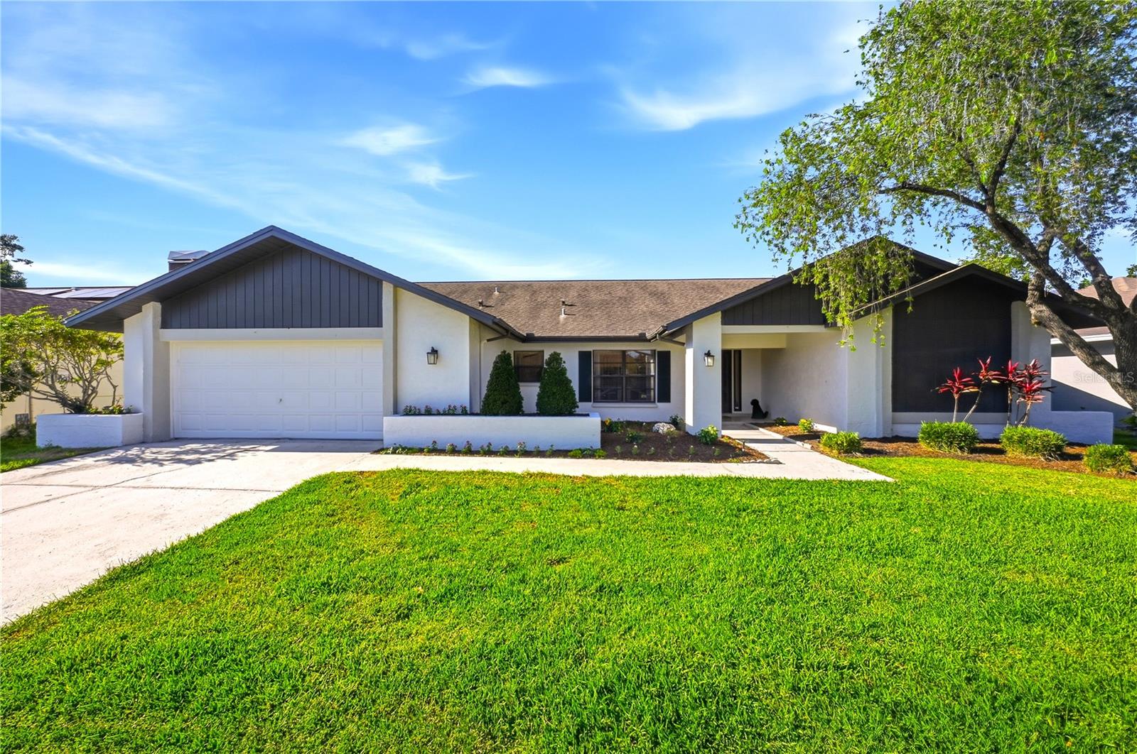 Single Family Residence em TAMPA, FL - Daniel Dourado