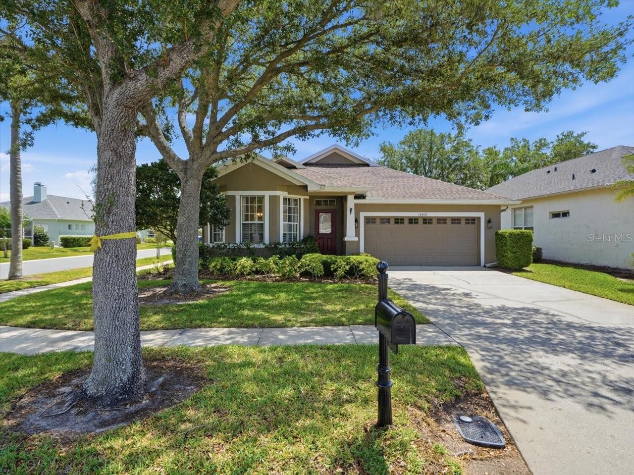 Single Family Residence em LUTZ, FL - Daniel Dourado