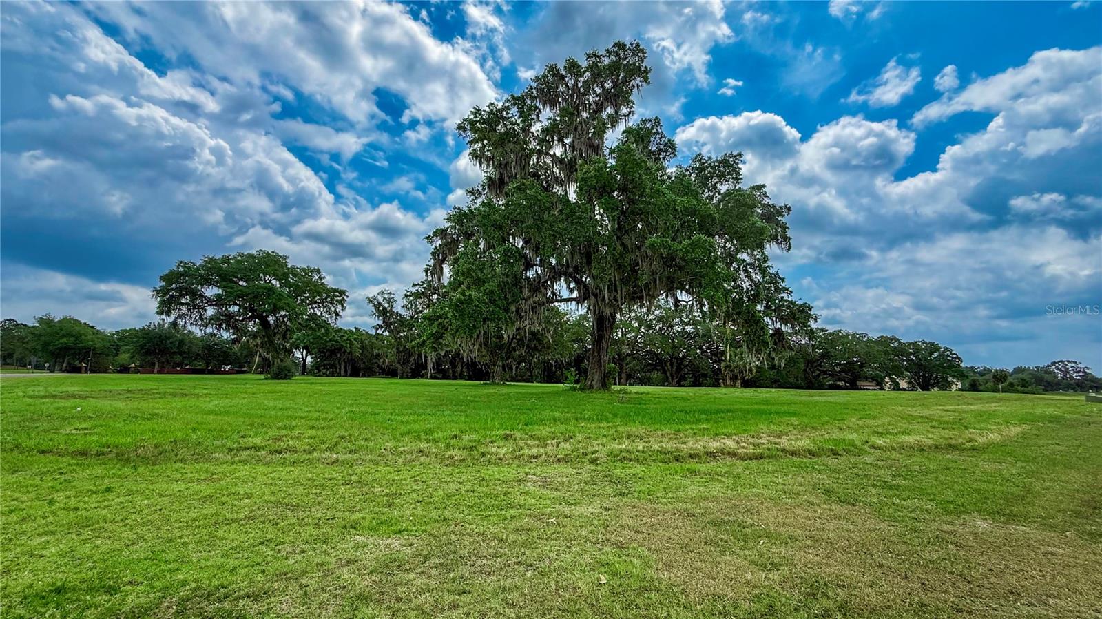  in OCALA, FL - Daniel Dourado