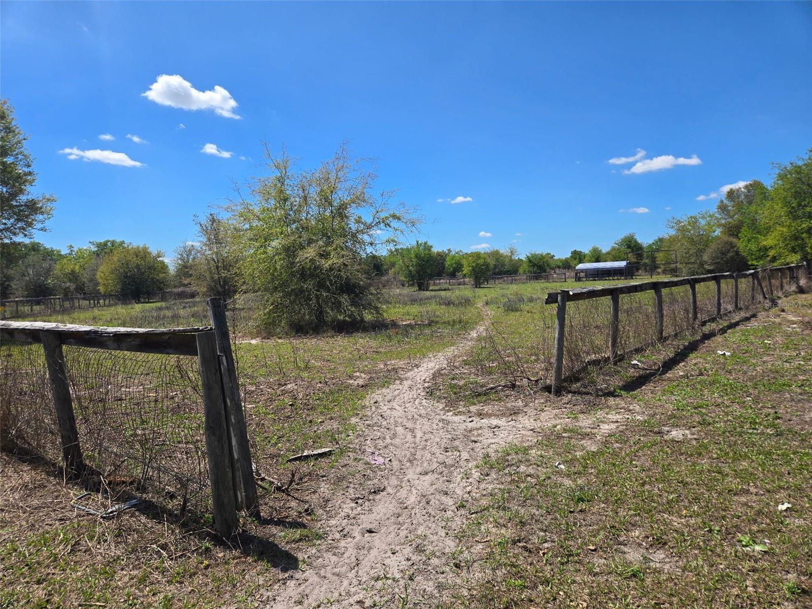  em ARCADIA, FL - Daniel Dourado