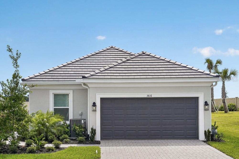 Single Family Residence in WESLEY CHAPEL, FL - Daniel Dourado