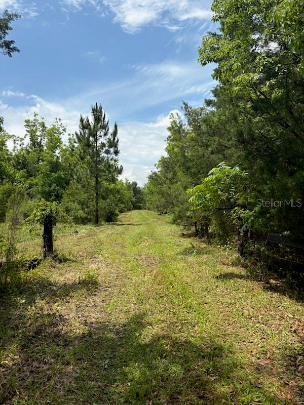  em BUNNELL, FL - Daniel Dourado