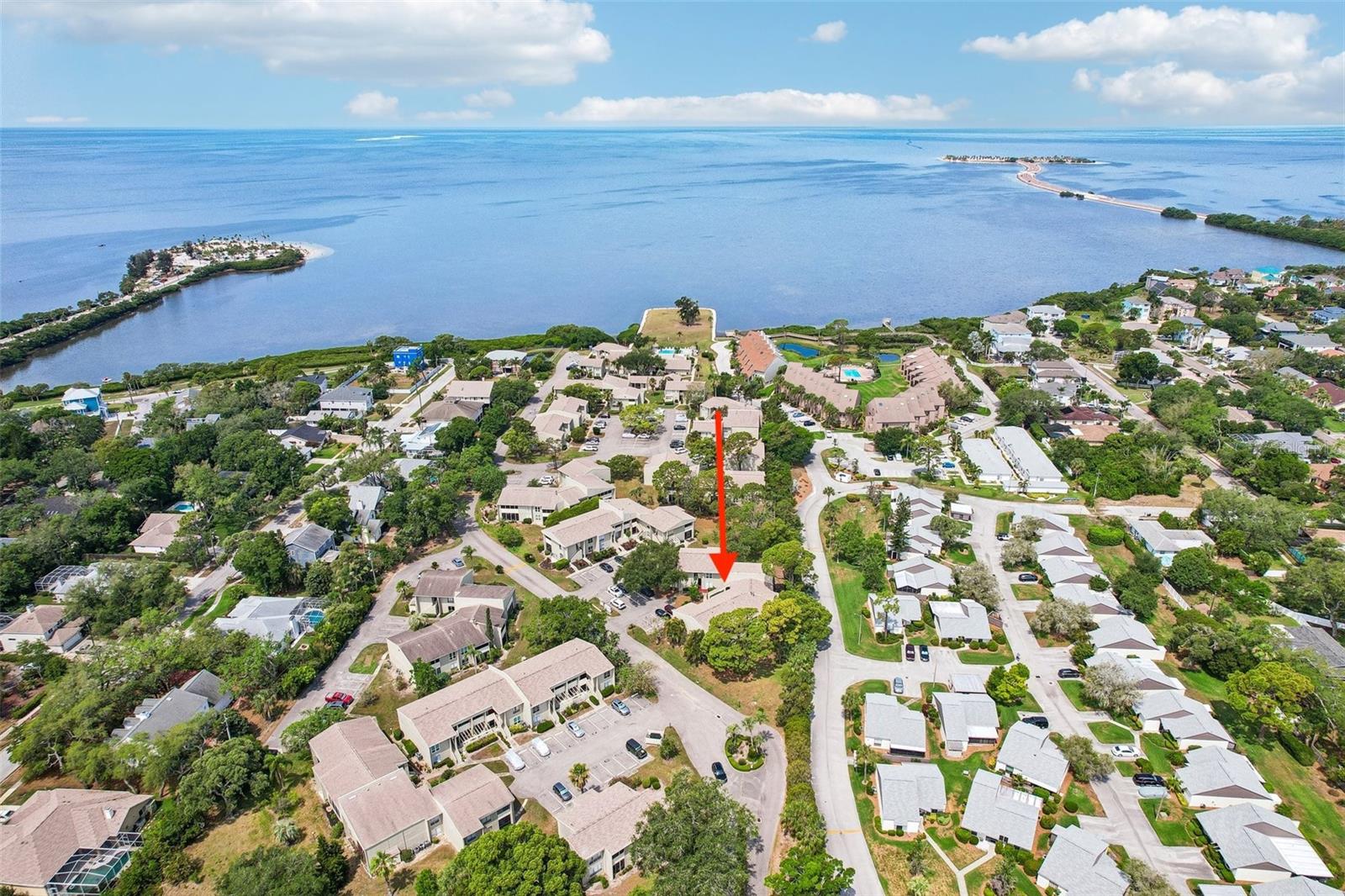 Condominium in TARPON SPRINGS, FL - Daniel Dourado