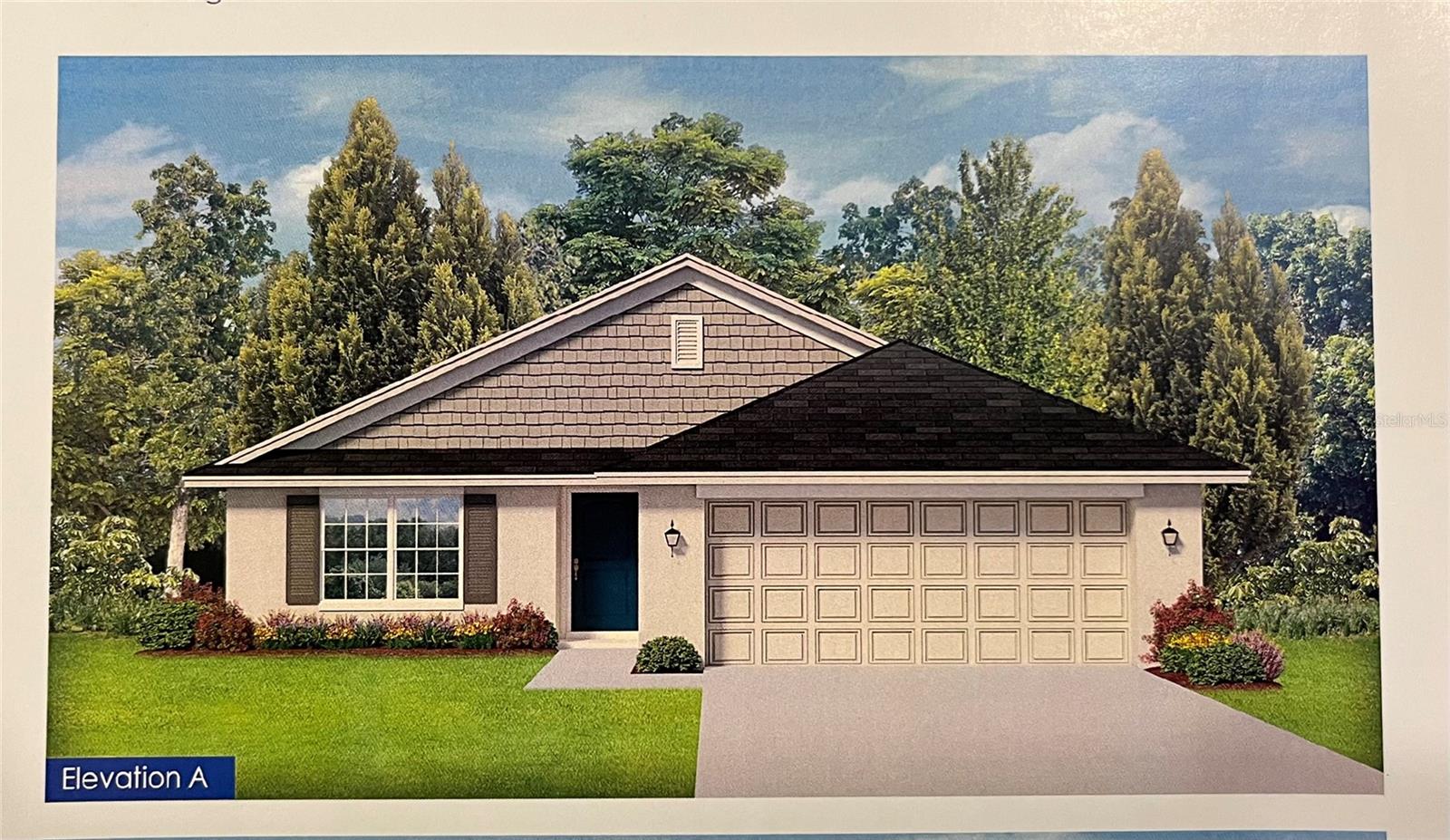 Single Family Residence in SUMMERFIELD, FL - Daniel Dourado
