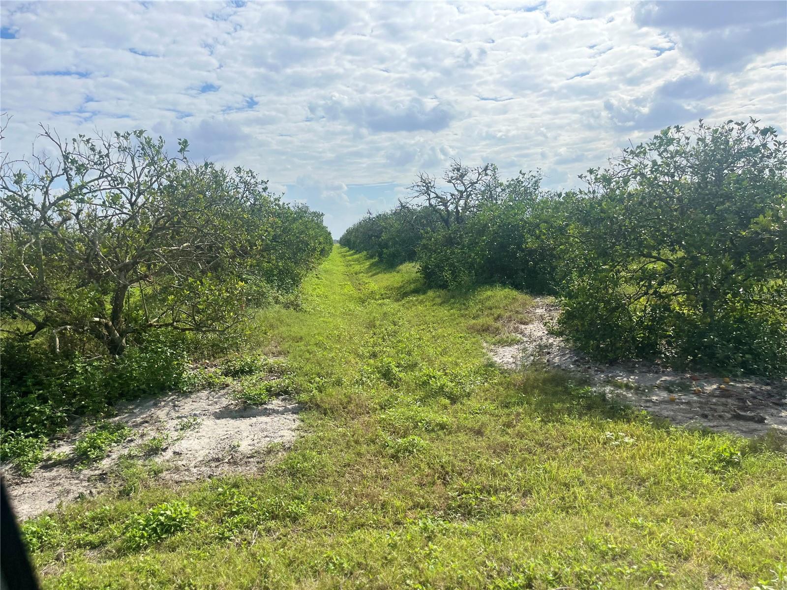  em ARCADIA, FL - Daniel Dourado