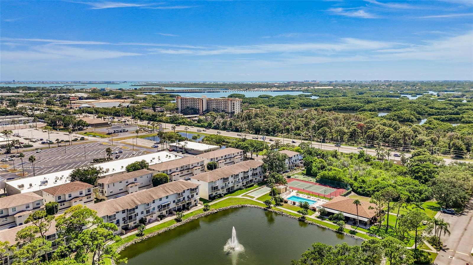Condominium em ST PETERSBURG, FL - Daniel Dourado