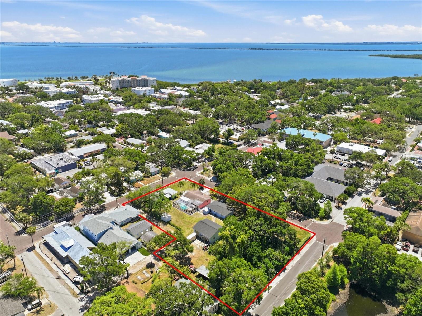  in SAFETY HARBOR, FL - Daniel Dourado