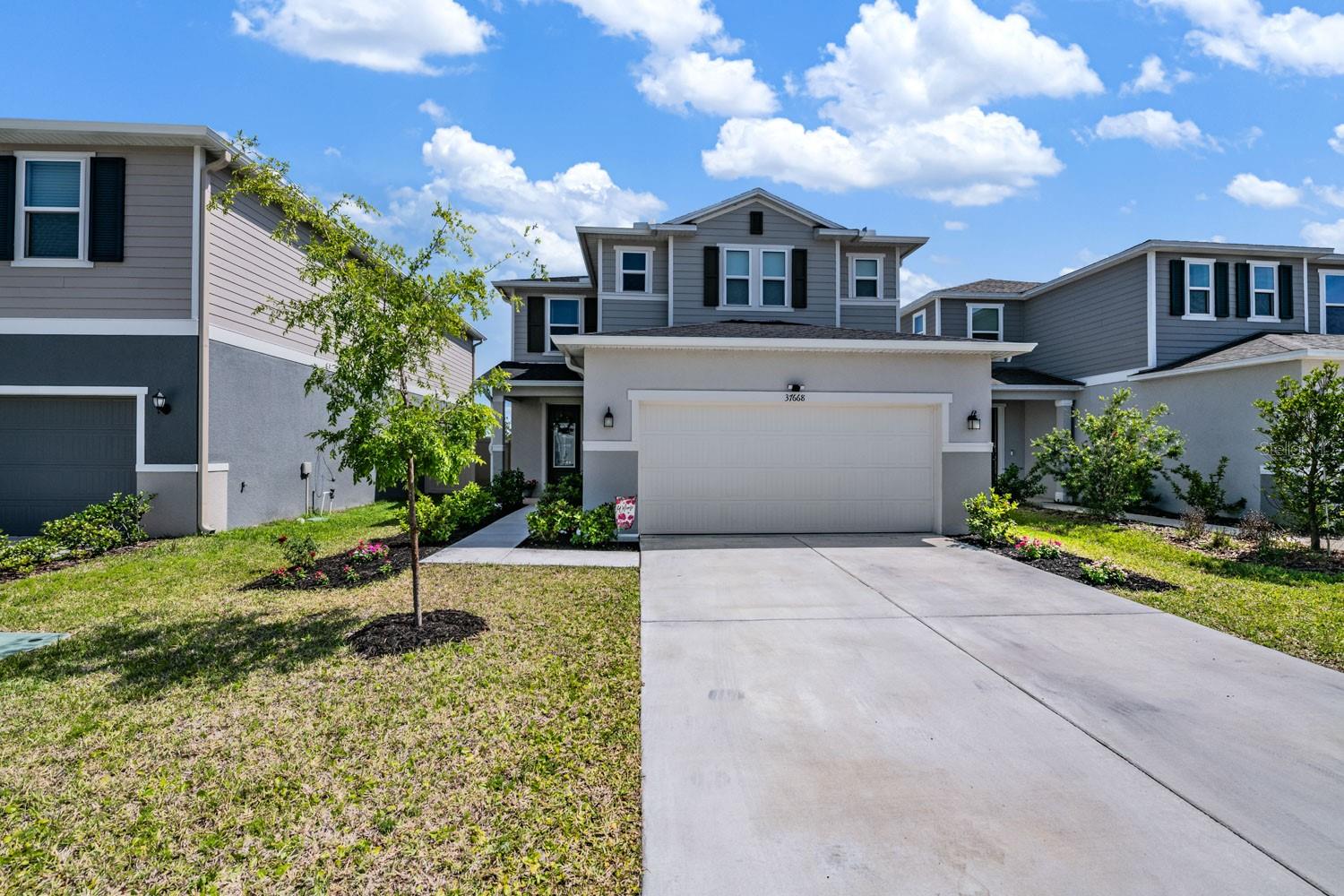 Single Family Residence in ZEPHYRHILLS, FL - Daniel Dourado