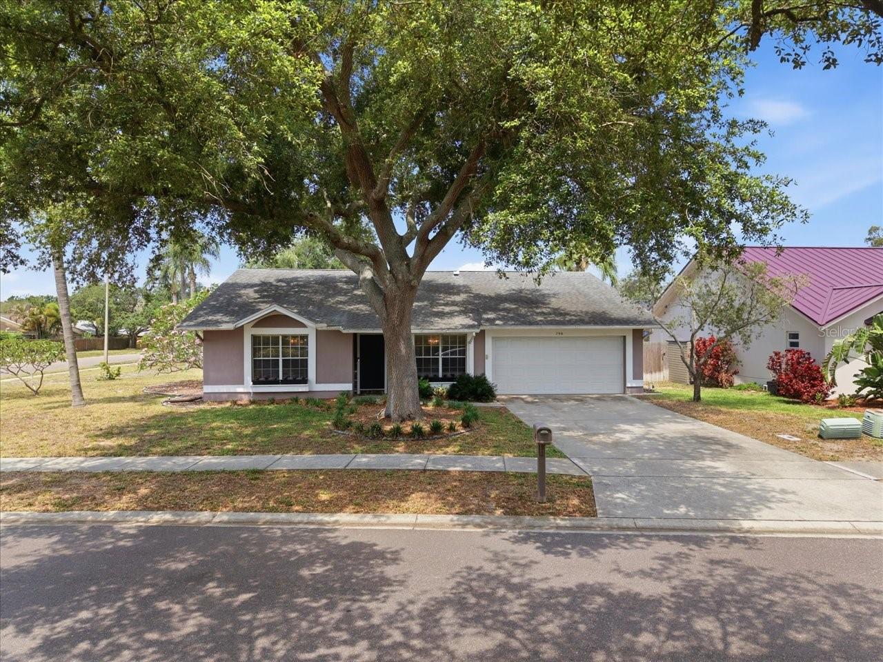 Single Family Residence em PALM HARBOR, FL - Daniel Dourado