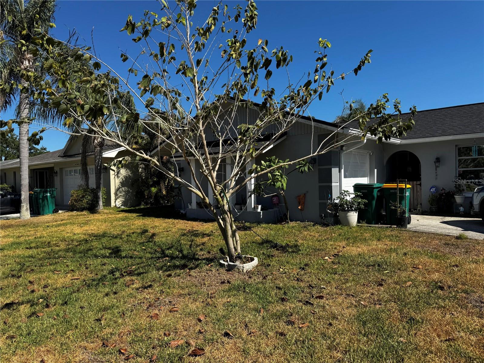 Single Family Residence em PALM HARBOR, FL - Daniel Dourado