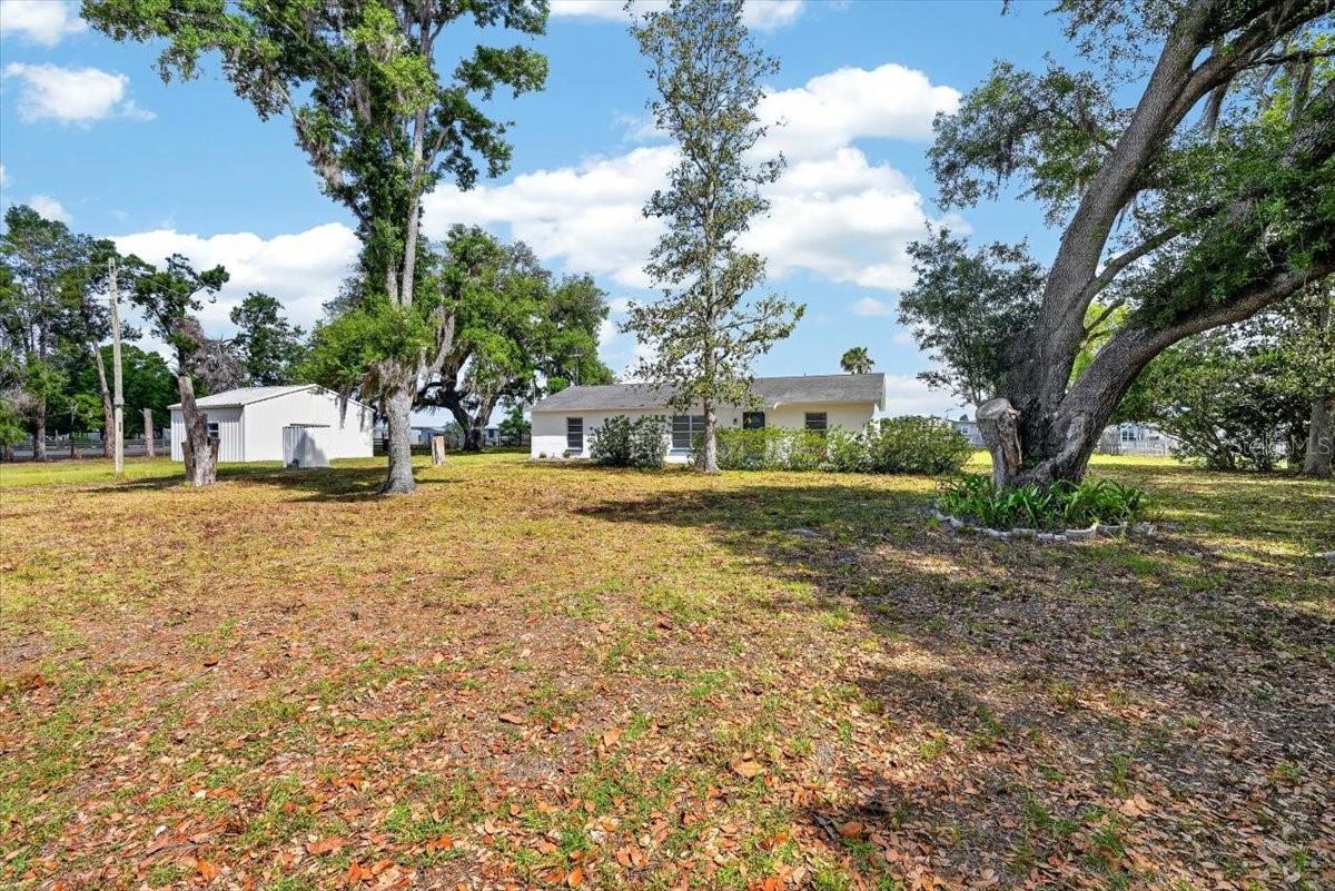 Single Family Residence in ZEPHYRHILLS, FL - Daniel Dourado