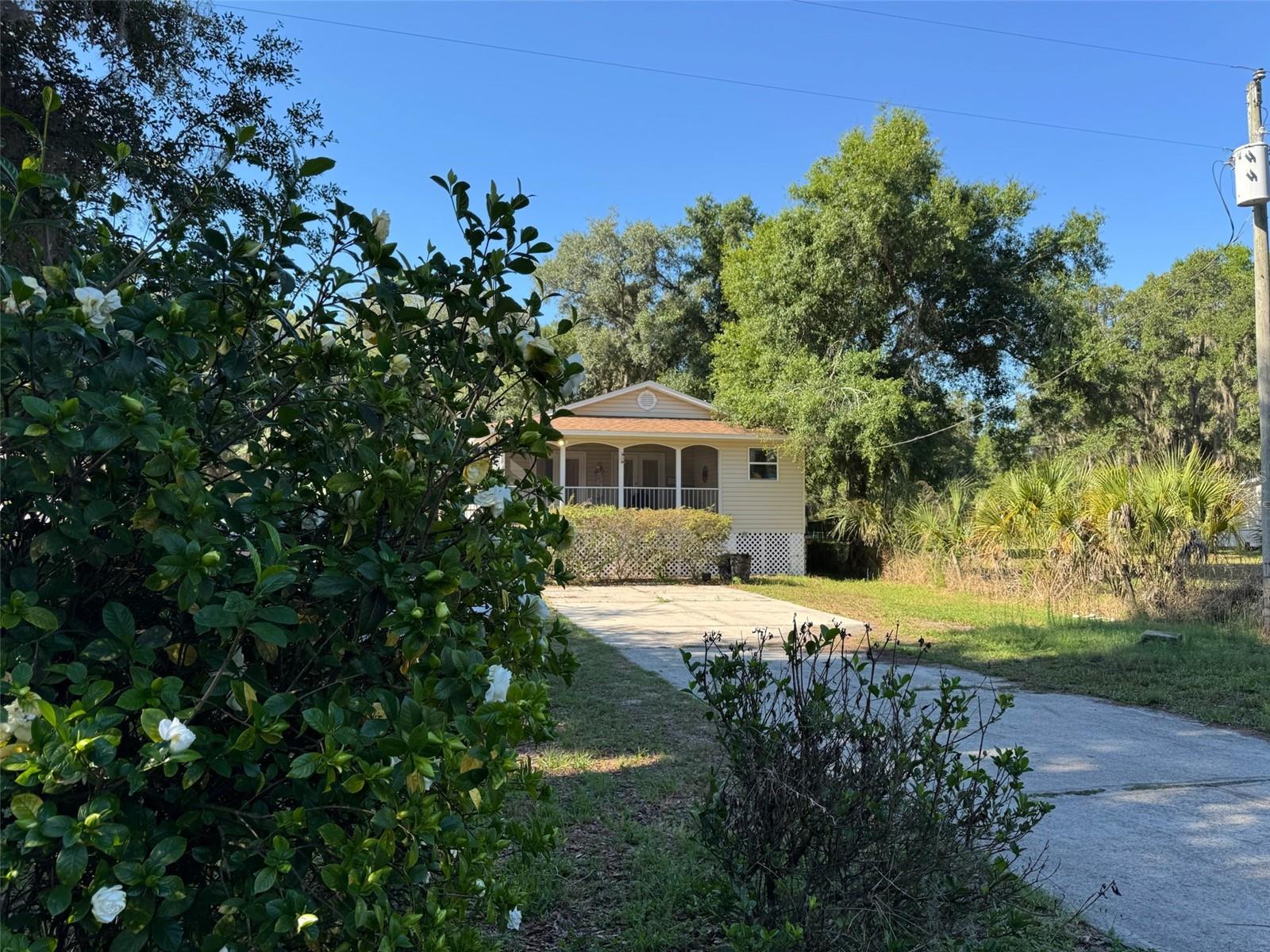Single Family Residence in ZEPHYRHILLS, FL - Daniel Dourado