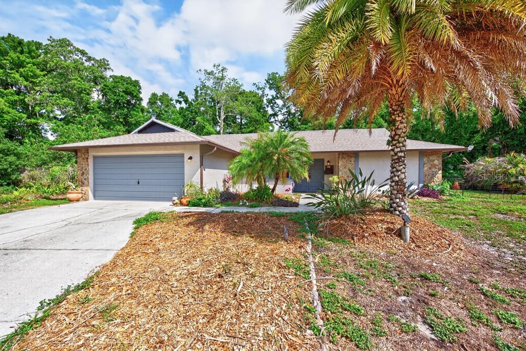 Single Family Residence in NEW PORT RICHEY, FL - Daniel Dourado