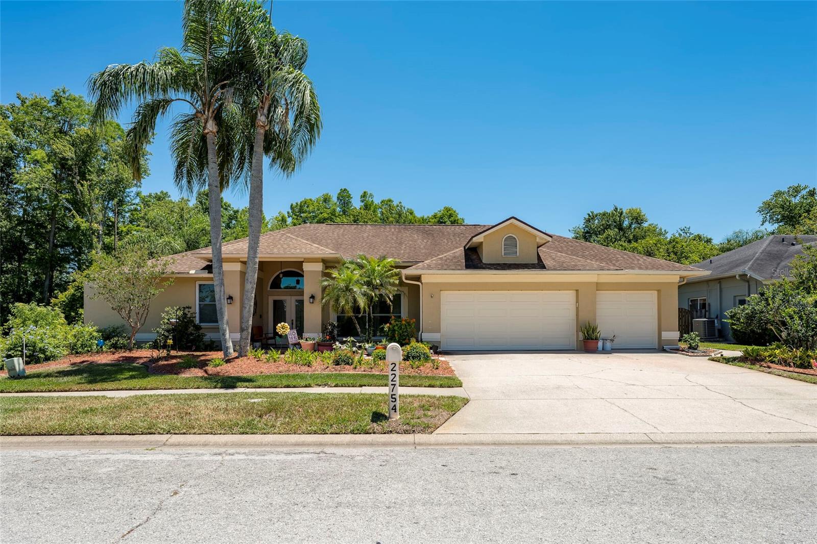Single Family Residence em LUTZ, FL - Daniel Dourado