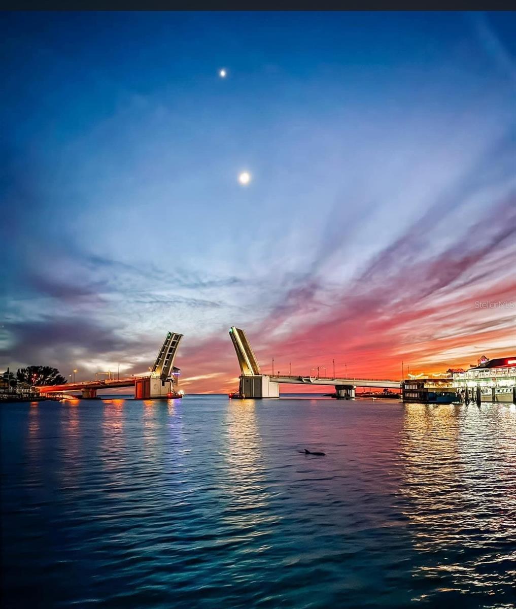 Condominium in TREASURE ISLAND, FL - Daniel Dourado
