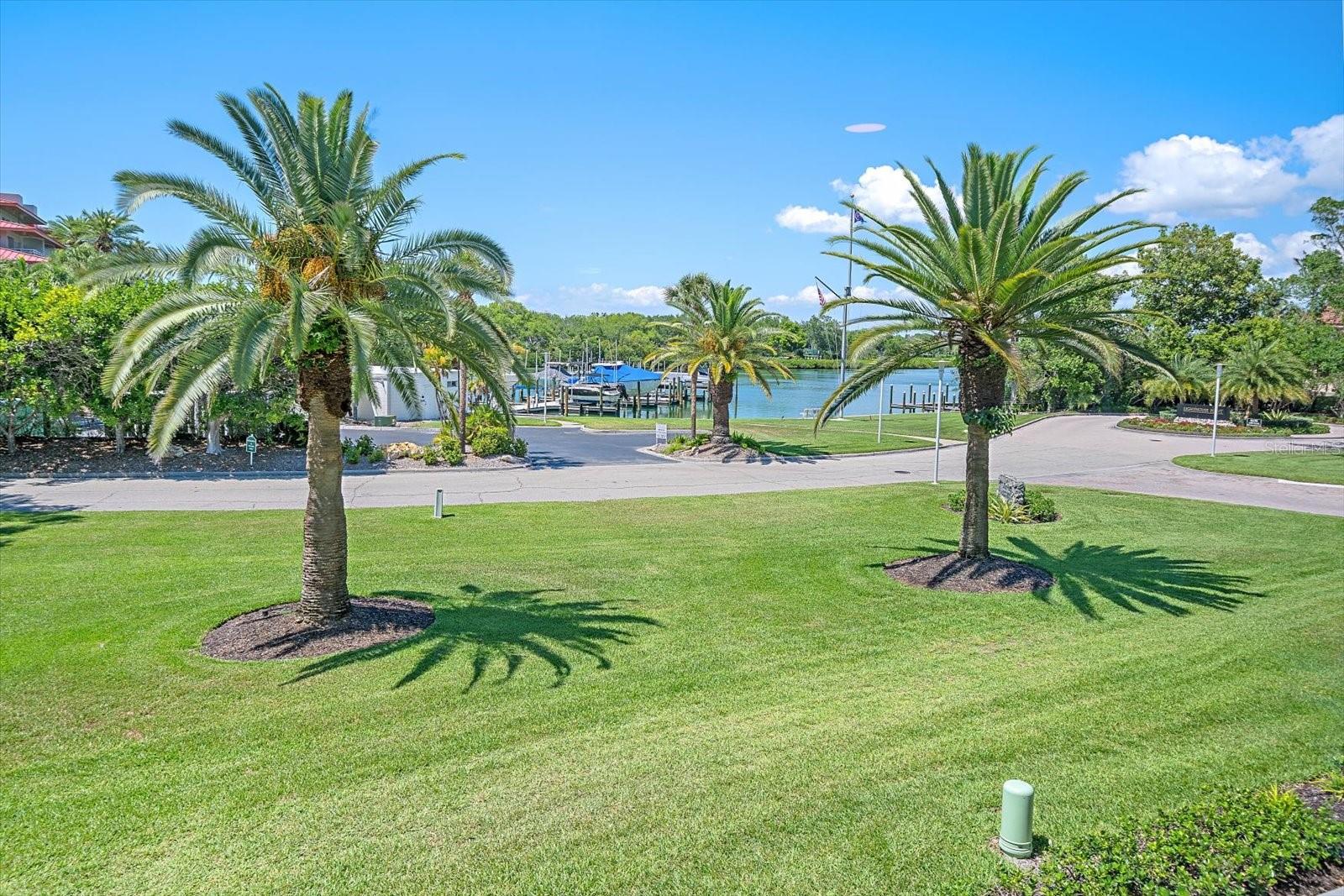 Condominium em LONGBOAT KEY, FL - Daniel Dourado
