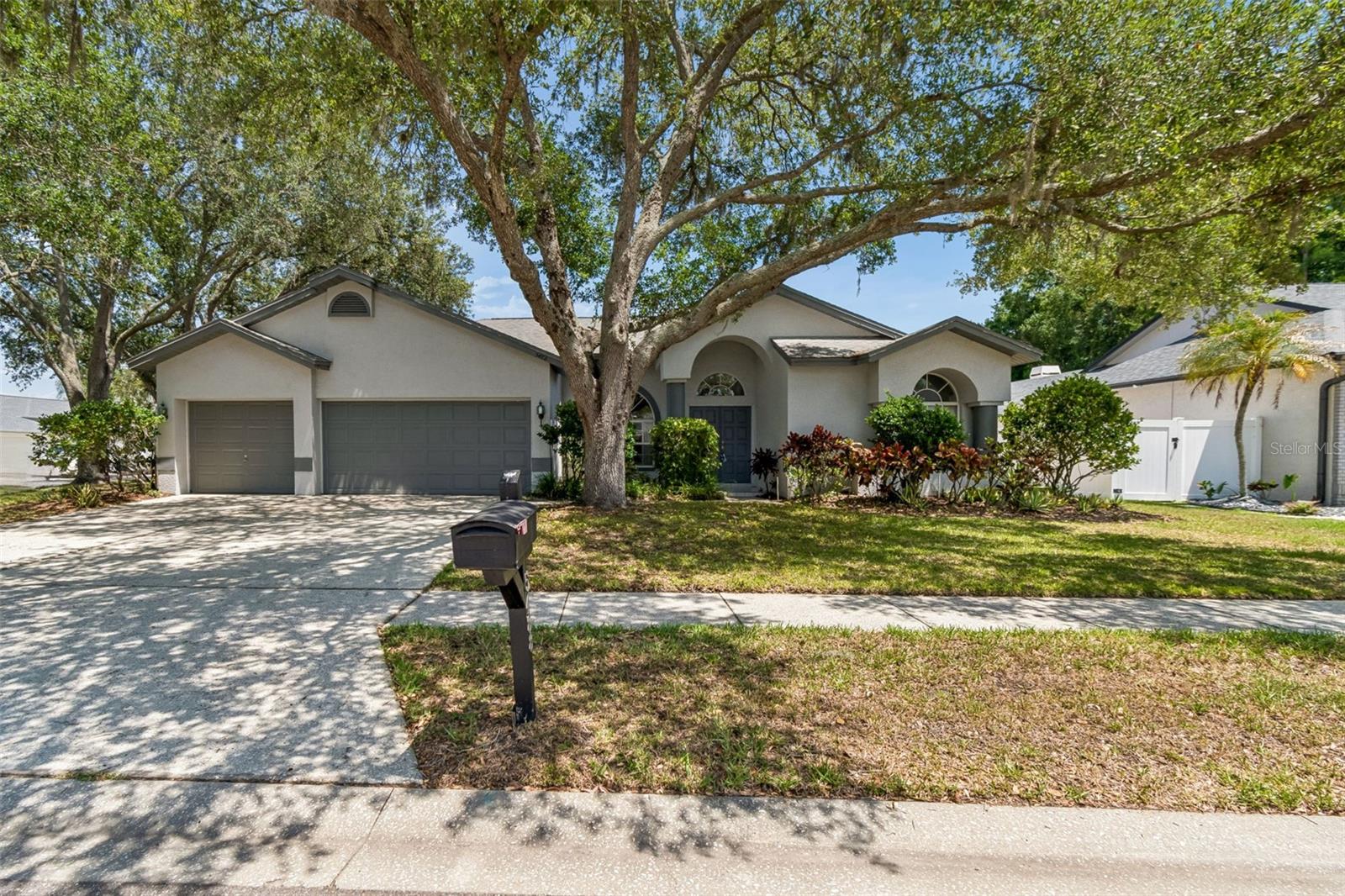 Single Family Residence em PALM HARBOR, FL - Daniel Dourado