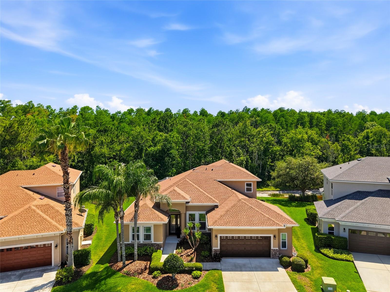 Single Family Residence in WESLEY CHAPEL, FL - Daniel Dourado