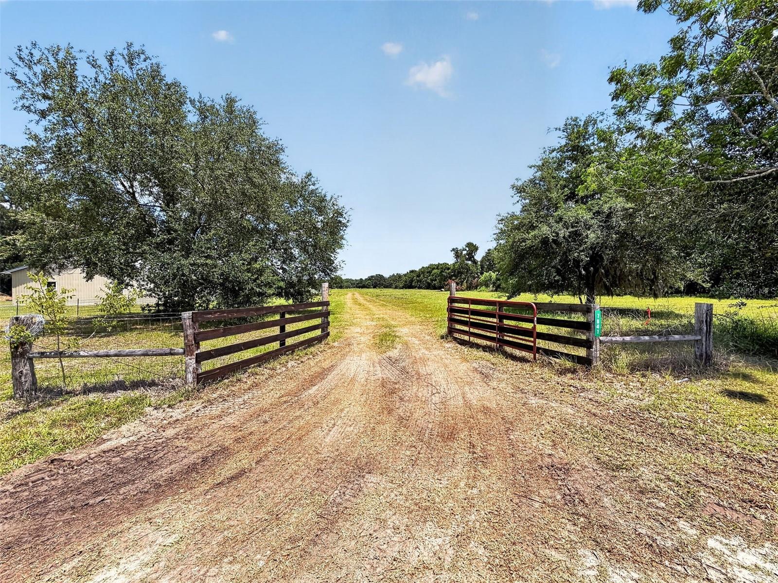  em CENTER HILL, FL - Daniel Dourado