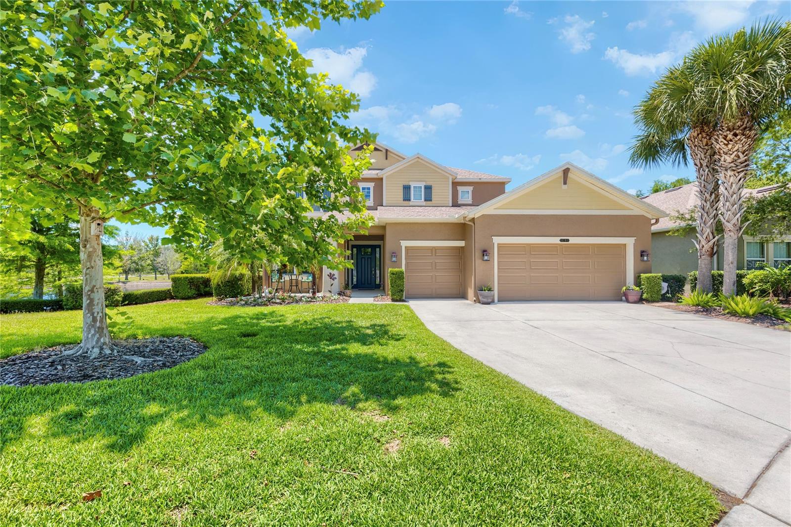 Single Family Residence em LAND O LAKES, FL - Daniel Dourado