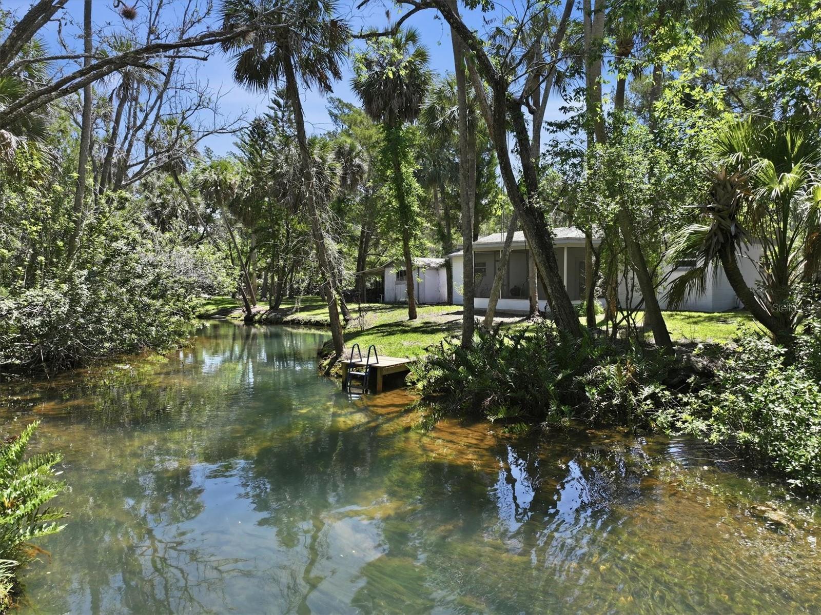Single Family Residence in WEEKI WACHEE, FL - Daniel Dourado