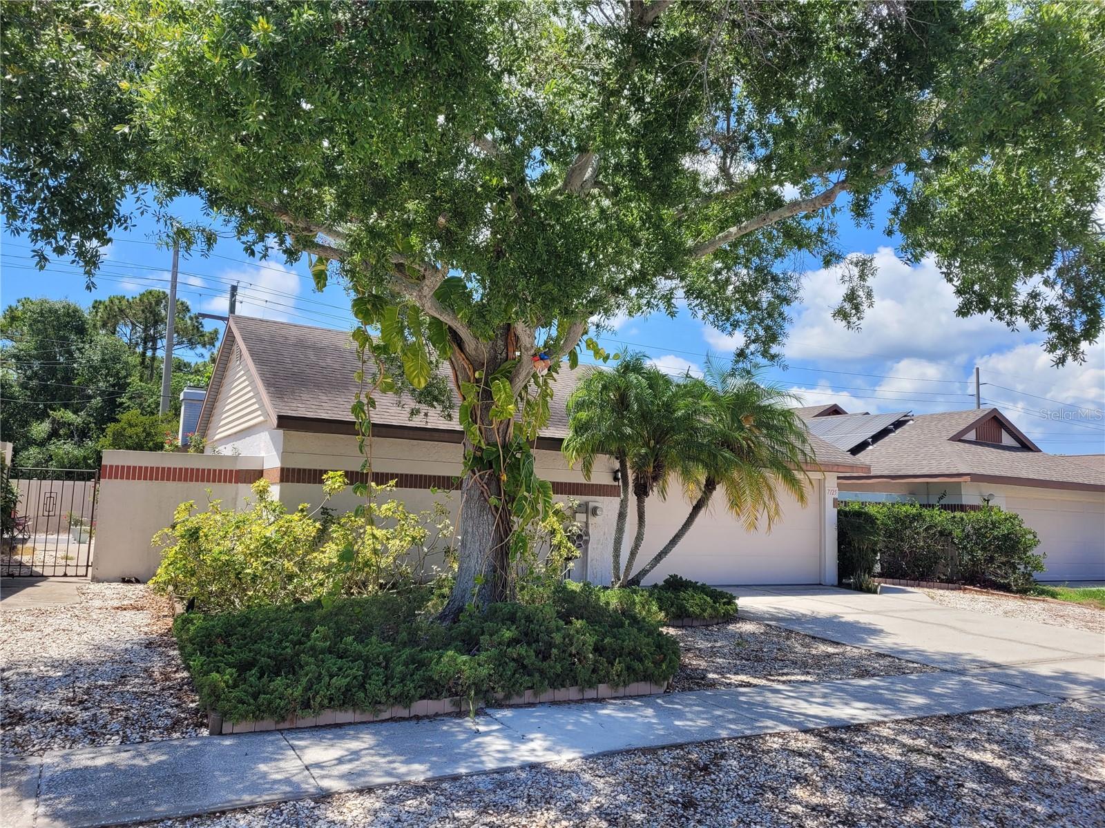 Single Family Residence em TAMPA, FL - Daniel Dourado