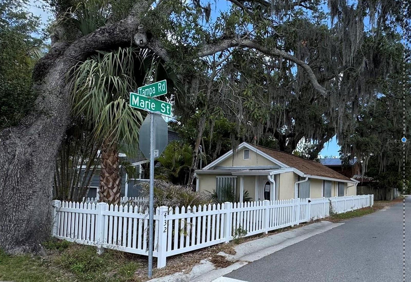Single Family Residence em PALM HARBOR, FL - Daniel Dourado